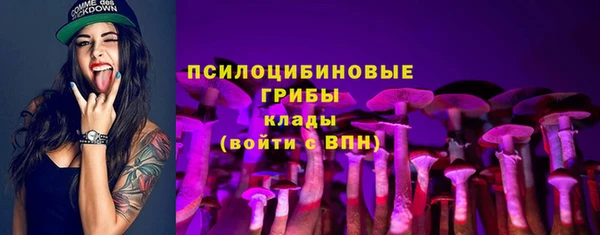 марки lsd Богородицк