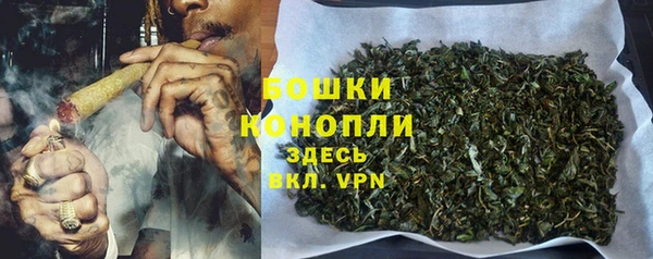 шишки Михайлов