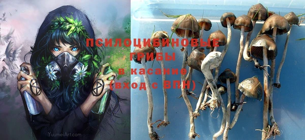 дурь Наволоки