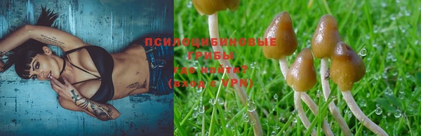 шишки Михайлов