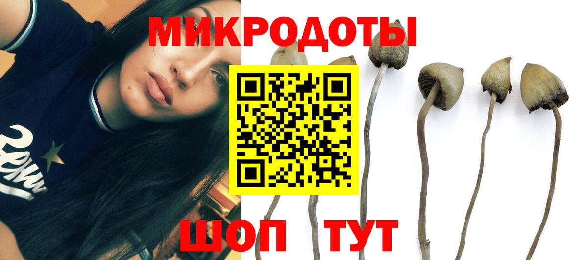 Кудрово  Галлюциногенные грибы Magic Shrooms  Вход с VPN 